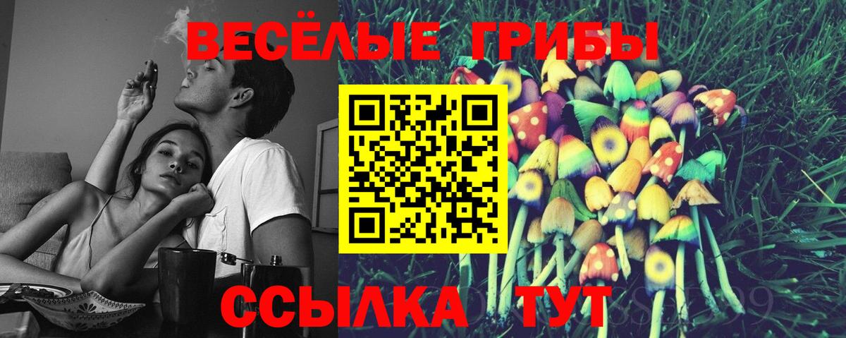 Галлюциногенные грибы Димитровград