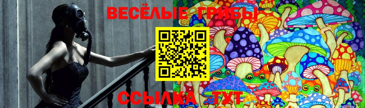Псилоцибиновые грибы MAGIC MUSHROOMS  Вход с VPN  Димитровград  Галлюциногенные грибы мухоморы 